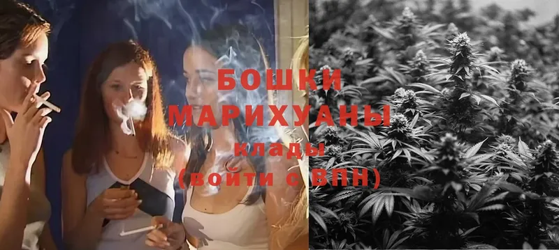 закладки  Николаевск  Шишки марихуана THC 21% 